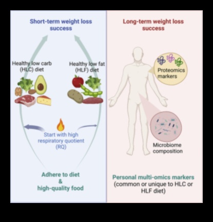 Η επίδραση της δίαιτας χαμηλής περιεκτικότητας σε λιπαρά στην υγεία του εντέρου 4 Η επίδραση της υγείας του εντέρου στην επιτυχία της δίαιτας με χαμηλά λιπαρά