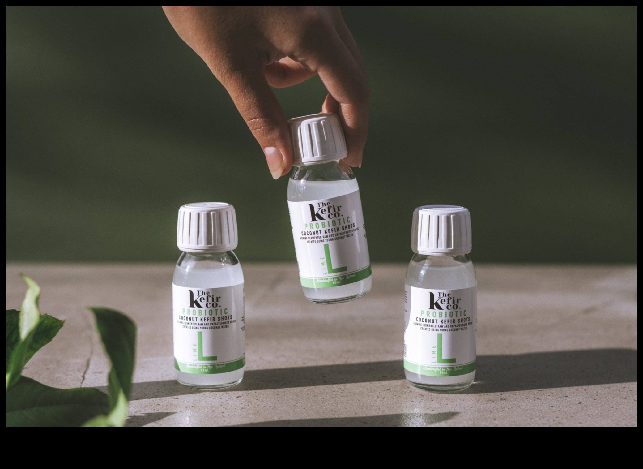 Βιγκανισμός και τρόφιμα που έχουν υποστεί ζύμωση: Προβιοτική ενίσχυση