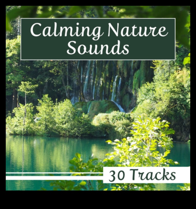 Nature's Tranquil Tunes 3 Καταρράκτες Wonders: Cascading Beauty σε φυσικά τοπία
