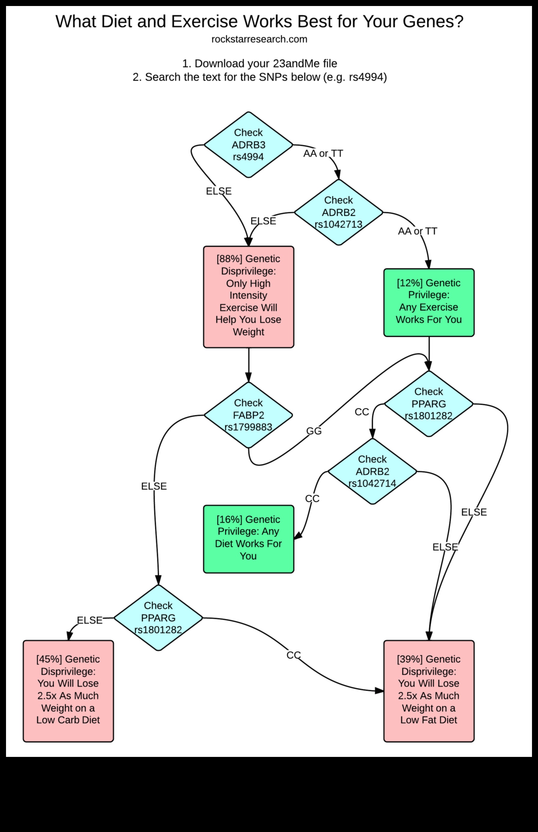 Το γονίδιο απόκρισης στη δίαιτα χαμηλής περιεκτικότητας σε λιπαρά 3 Η επίδραση της γενετικής στις αντιδράσεις της δίαιτας χαμηλής περιεκτικότητας σε λιπαρά