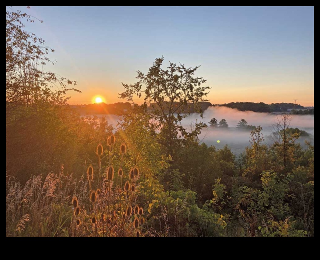 Urban Greenways: Pathways through City Parks