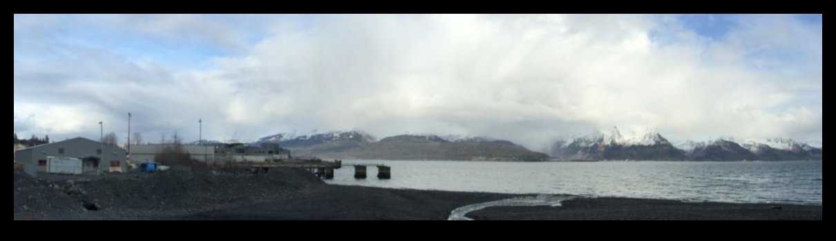 Πώς προσαρμόζονται τα παράκτια τοπία στις επιπτώσεις της οξίνισης των ωκεανών;