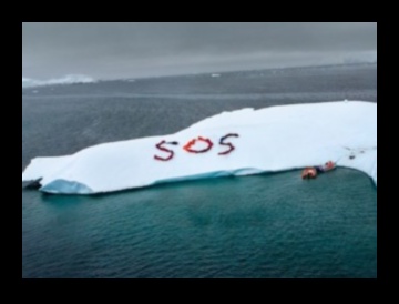 Εύθραυστη ομορφιά: Χλωρίδα και πανίδα σε ευαίσθητα οικοσυστήματα