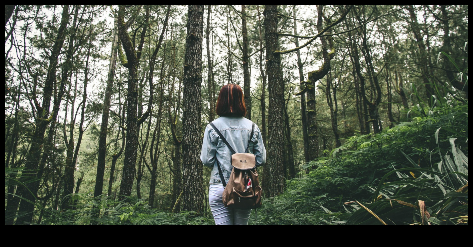 Wanderlust Η χαρά της εξερεύνησης της φύσης 7 Αποκαλύφθηκε το Earthy Elegance: A Showcase of Nature's Breathting Landscapes