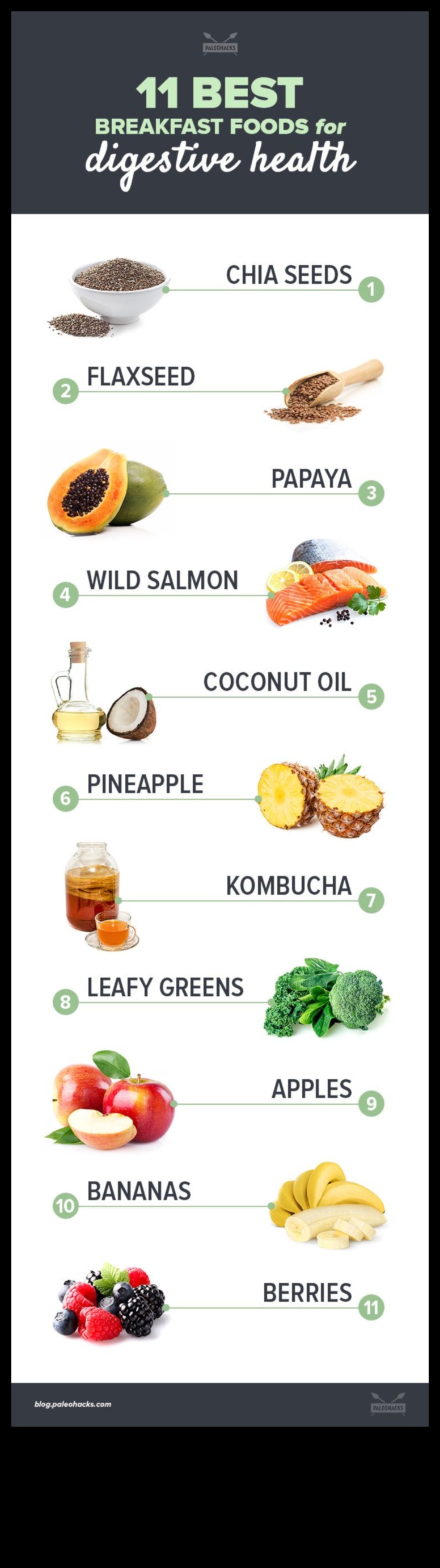 Paleo Diet Μια φυσική θεραπεία για την υγεία του πεπτικού συστήματος 3 Η σύνδεση μεταξύ Παλαιό και πεπτικής υγείας