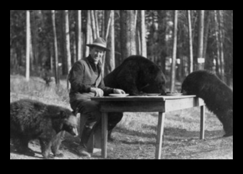 Το τελευταίο καταφύγιο της φύσης 4 Nature's Sanctuary: Ecological Reserves Explored