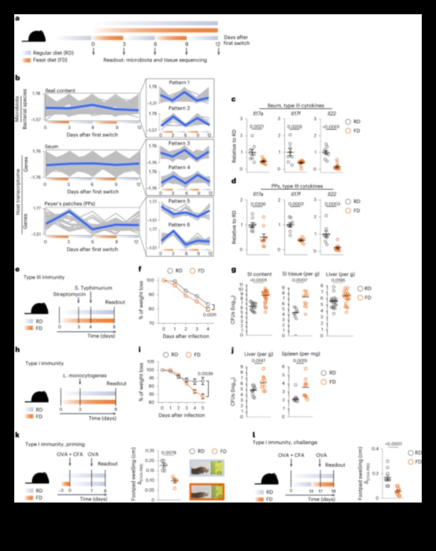 Βραχυπρόθεσμες δίαιτες για χρόνιες παθήσεις A Primer 3 Είναι οι βραχυπρόθεσμες δίαιτες κατάλληλες για άτομα με χρόνιες παθήσεις;