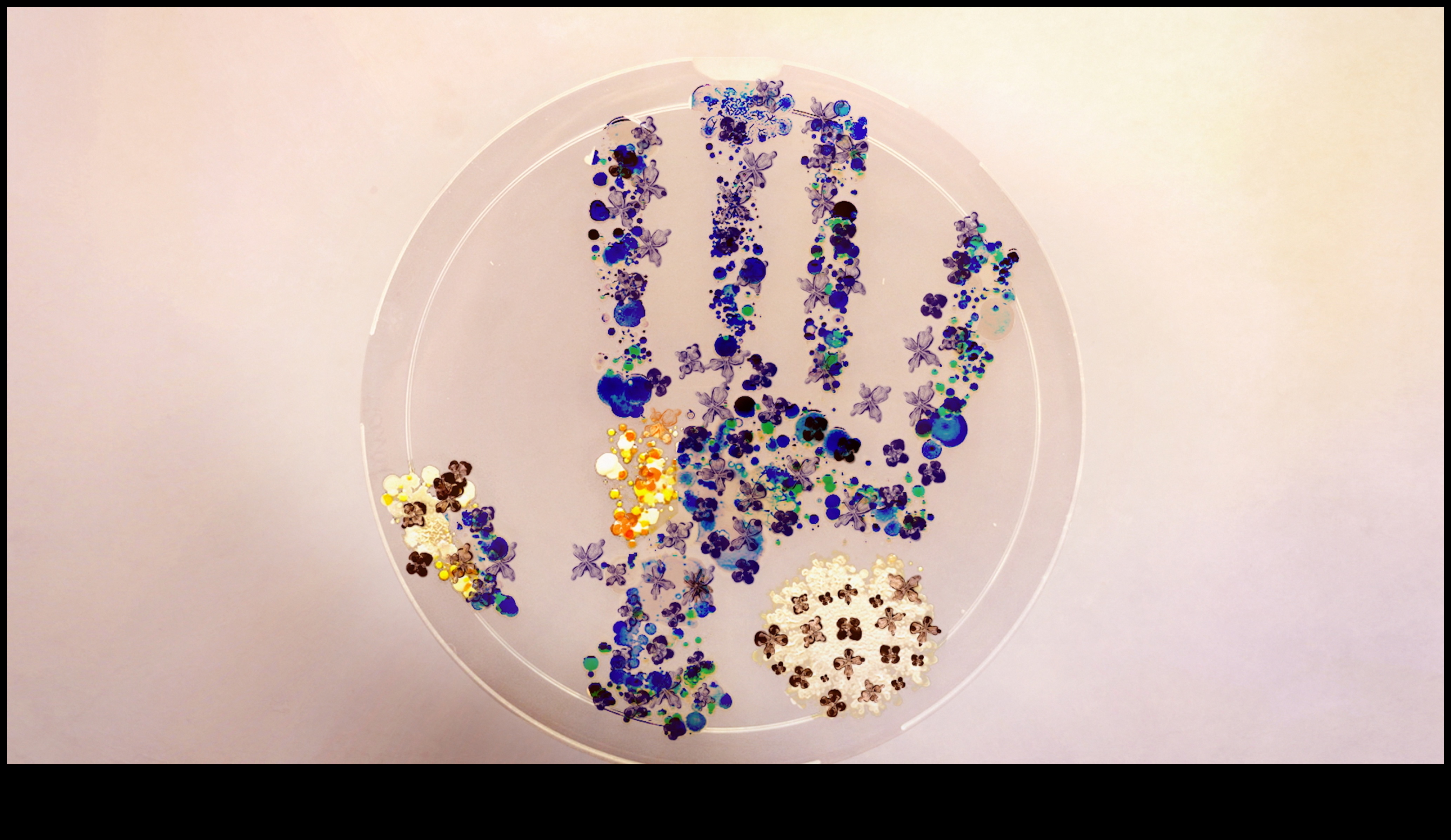 Water's Edge: Where Land and Aquatic Life συναντώνται