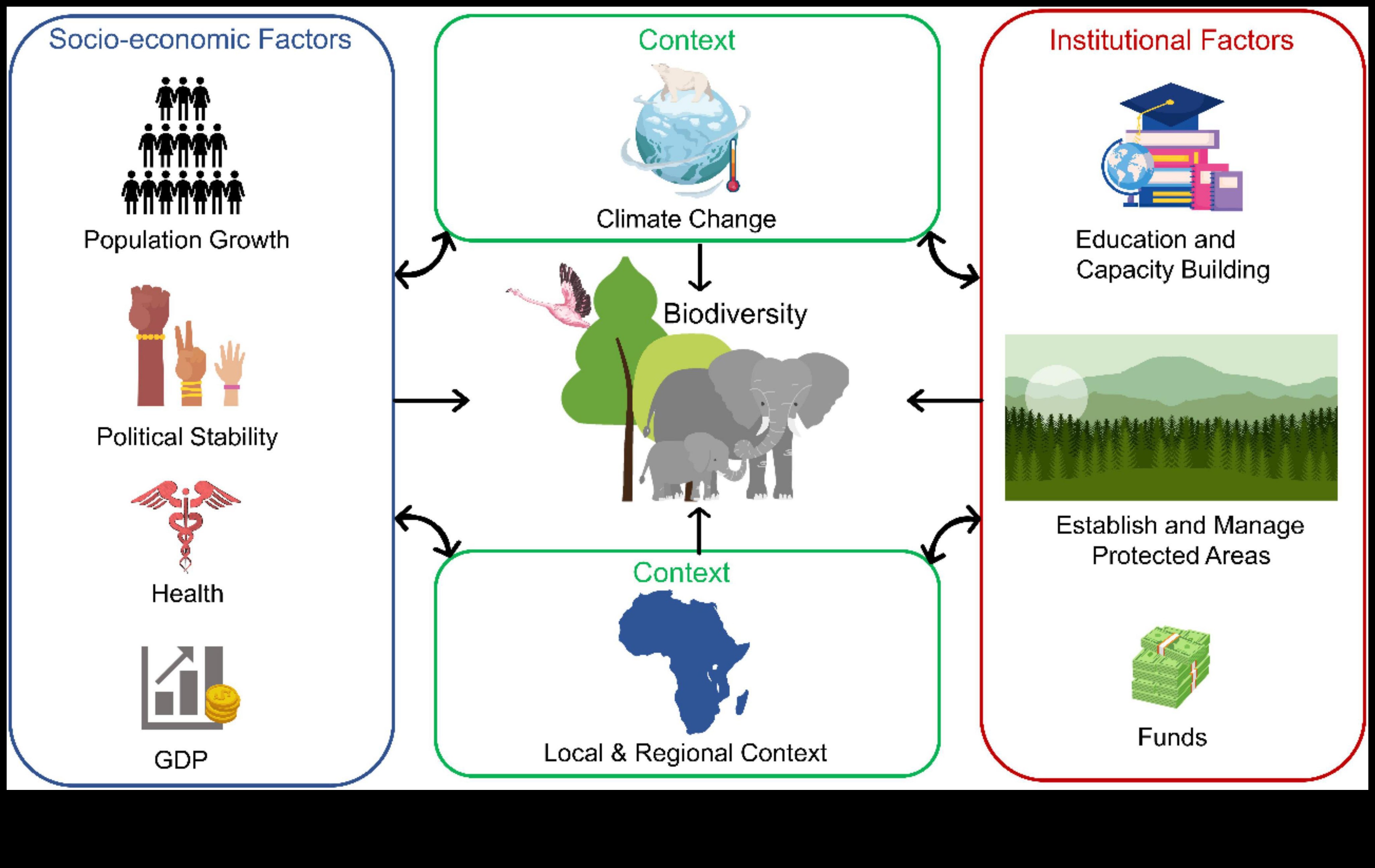 Πώς επηρεάζουν οι κλιματικές ζώνες τη βιοποικιλότητα των τοπίων;