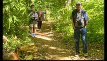 Urban Greenways: Pathways through City Parks