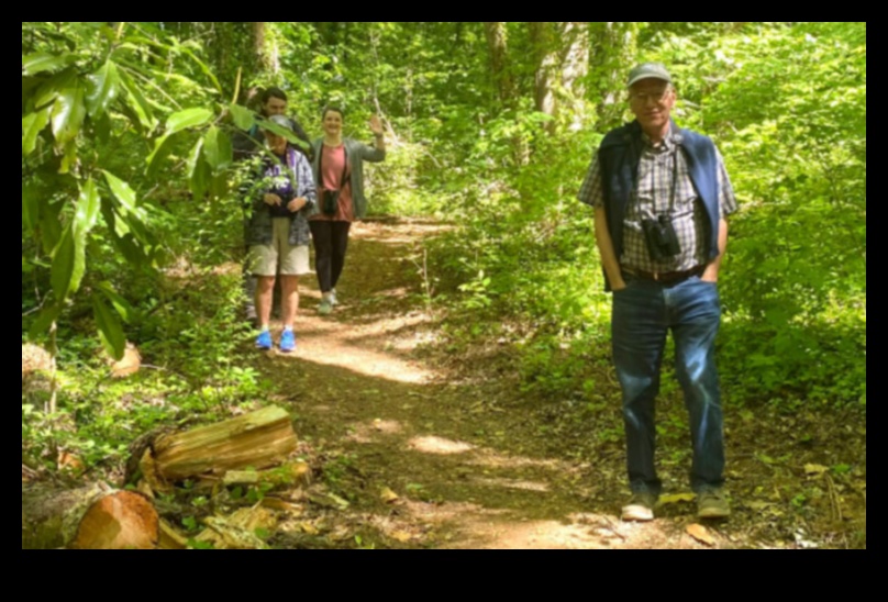 Urban Greenways: Pathways through City Parks