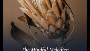 Mindful Melodies: A Musical Journey into Stress Relief