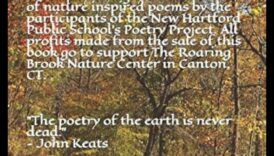 Ποίημα της φύσης: Εκφραστικά τοπία σε κάθε κάδρο