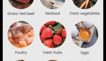 Η σύνδεση μεταξύ Παλαιό και πεπτικής υγείας