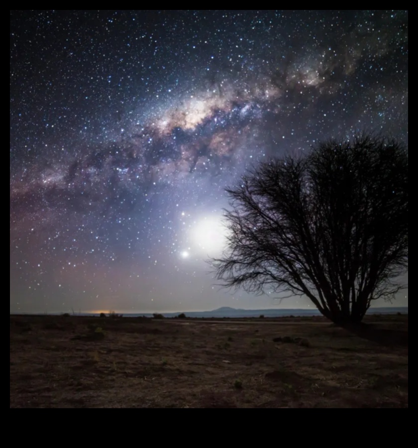 Starry Spectacle: Marvels and Wonders Across the Galactic Landscape