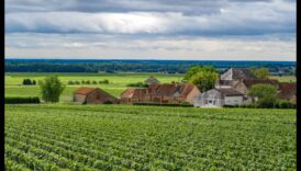 Αντίκα Delights Μια σερφάρισμα συγκομιδής προκάλεσε αμπελώνες και περιβόλια 3 Απολαύσεις συγκομιδής: Εξερεύνηση αμπελώνων και οπωρώνων