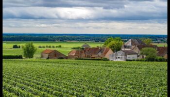 Απολαύσεις συγκομιδής: Εξερεύνηση αμπελώνων και οπωρώνων