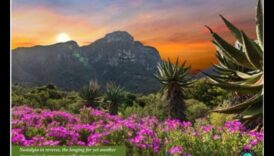 Αποκαλύφθηκε το Earthy Elegance: A Showcase of Nature's Breathting Landscapes