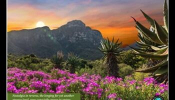 Αποκαλύφθηκε το Earthy Elegance: A Showcase of Nature's Breathting Landscapes