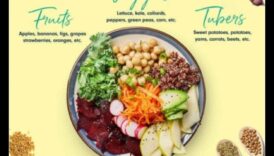 Βραχυπρόθεσμες δίαιτες για χρόνιες ασθένειες Ένα Primer 3 Είναι οι βραχυπρόθεσμες δίαιτες κατάλληλες για άτομα με χρόνιες παθήσεις;