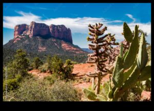 Desert Dreams: The Enchanting World of Arid Landscapes