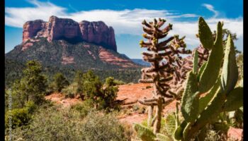 Desert Dreams: The Enchanting World of Arid Landscapes