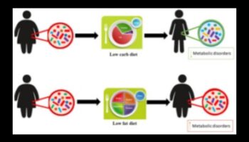 Η επίδραση της υγείας του εντέρου στην επιτυχία της δίαιτας με χαμηλά λιπαρά