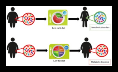 Η επίδραση της δίαιτας χαμηλής περιεκτικότητας σε λιπαρά στην υγεία του εντέρου 1 Η επίδραση της υγείας του εντέρου στην επιτυχία της δίαιτας με χαμηλά λιπαρά