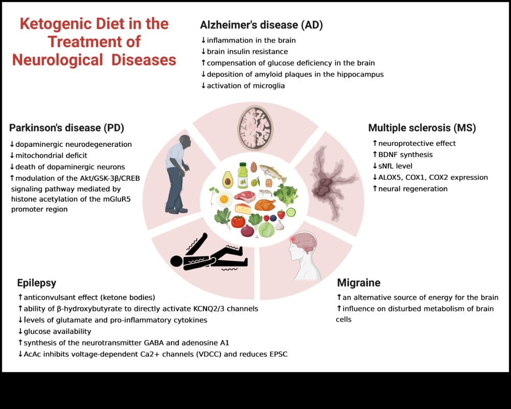 Ο ρόλος των κετονών στη διαχείριση των χρόνιων καταστάσεων