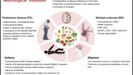 Κέτωση Μια πιθανή φάρμακο για χρόνιες ασθένειες 5 Ο ρόλος των κετονών στη διαχείριση των χρόνιων καταστάσεων