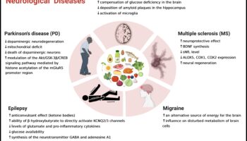 Ο ρόλος των κετονών στη διαχείριση των χρόνιων καταστάσεων
