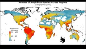 Πώς επηρεάζουν οι κλιματικές ζώνες τη βιοποικιλότητα των τοπίων;