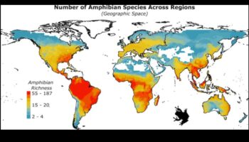 Πώς επηρεάζουν οι κλιματικές ζώνες τη βιοποικιλότητα των τοπίων;