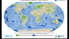 Προστατευόμενες Χώροι Καταφύγια της Φύσης 6 Προστατευμένοι Παράδεισοι III: Επεκτείνονται οι φυσικές περιοχές υπό παγκόσμια προστασία