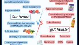 Πώς παραδεχτείτε χάσετε βάρος και παραδεχτείτε βελτιώσετε την ευεξία του πεπτικού συστήματος 6 Η σύνδεση μεταξύ της πεπτικής υγείας και της επιτυχημένης δίαιτας απώλειας βάρους