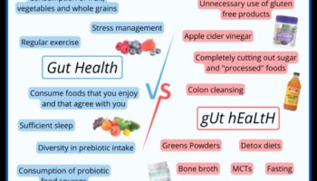 Η σύνδεση μεταξύ της πεπτικής υγείας και της επιτυχημένης δίαιτας απώλειας βάρους