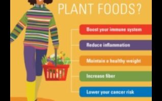 Βιγκανισμός και Ανοσολογική Υποστήριξη: Μια Ολιστική Προσέγγιση