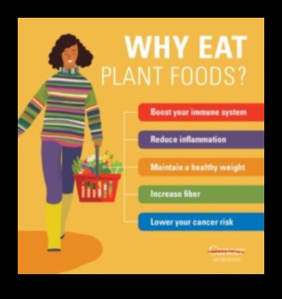 Βιγκανισμός και Ανοσολογική Υποστήριξη: Μια Ολιστική Προσέγγιση