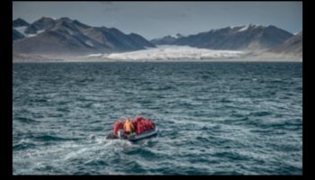 Nature's Sanctuary: Ecological Reserves Explored